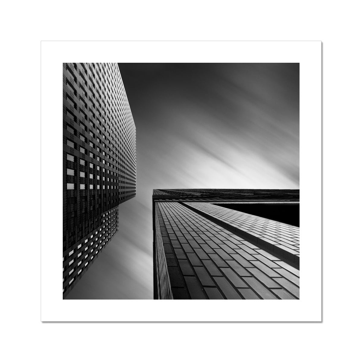 Confrontation C-Type Print
