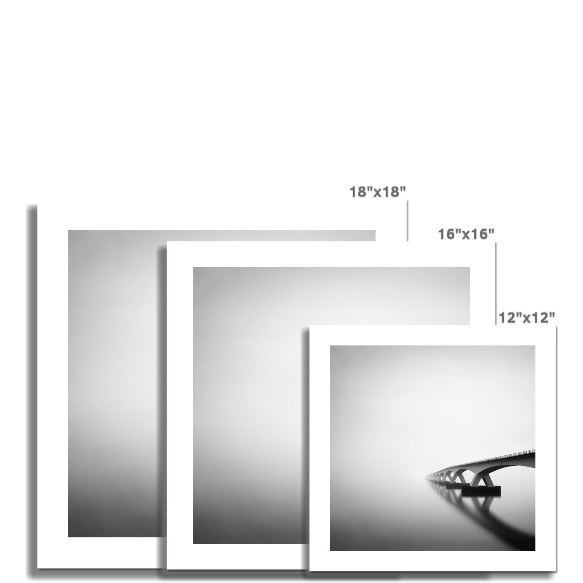 Vanishing C-Type Print