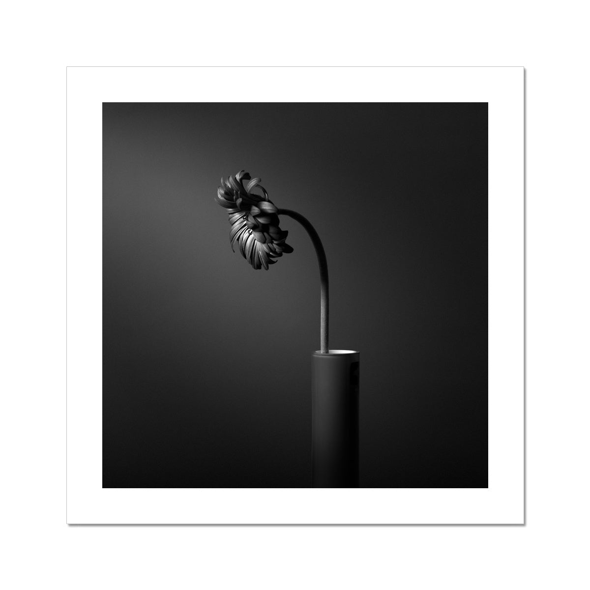So What C-Type Print
