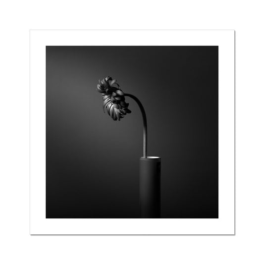 So What C-Type Print