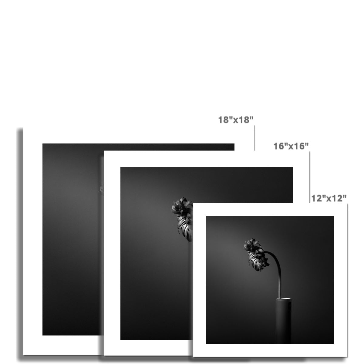 So What C-Type Print