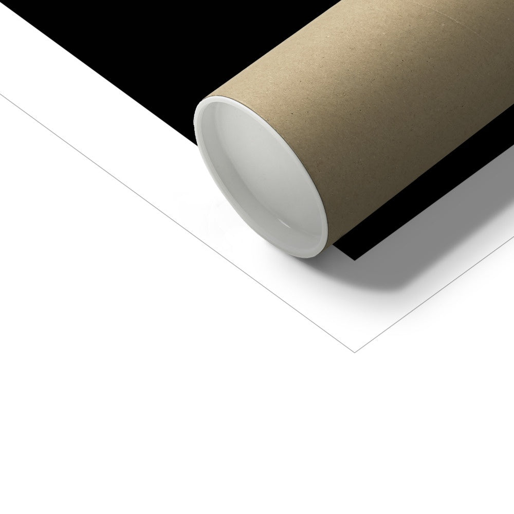 Calla III C-Type Print