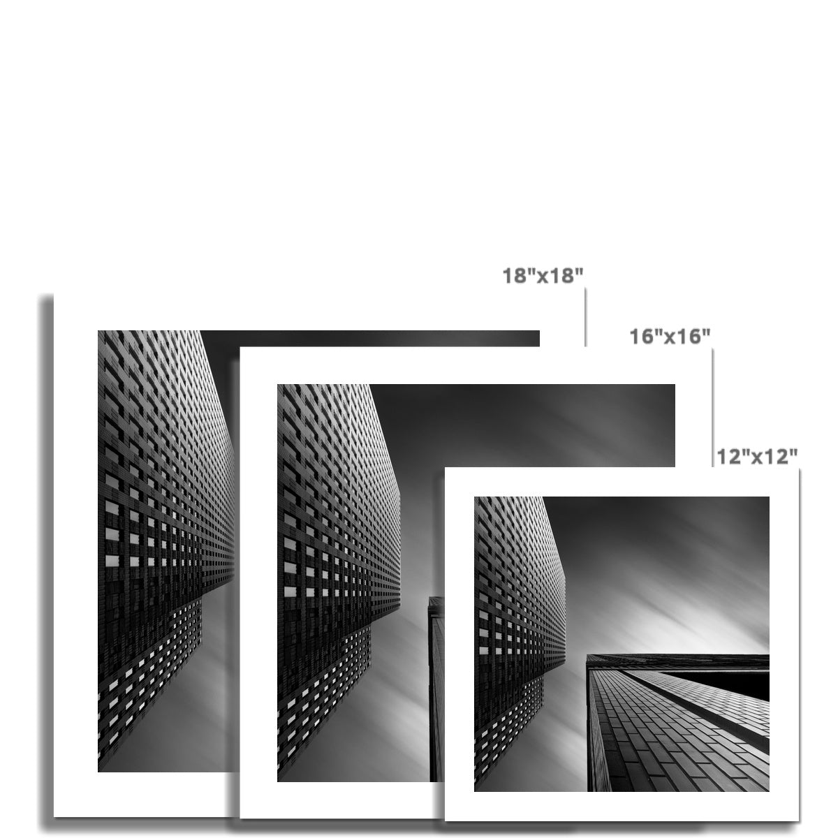 Confrontation C-Type Print