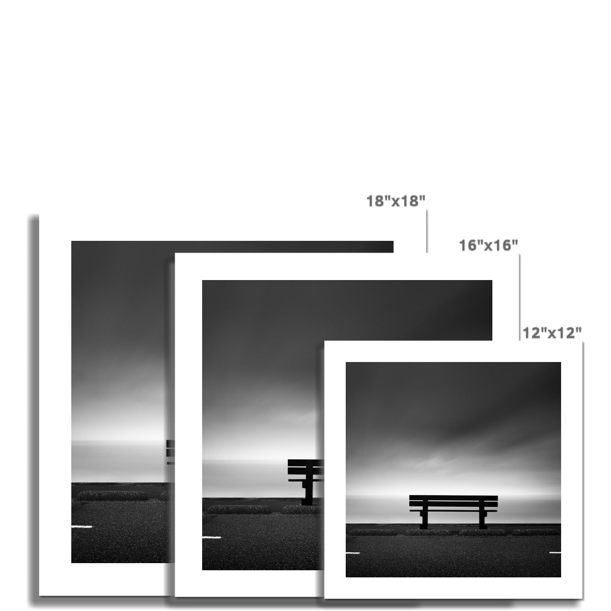 Future C-Type Print