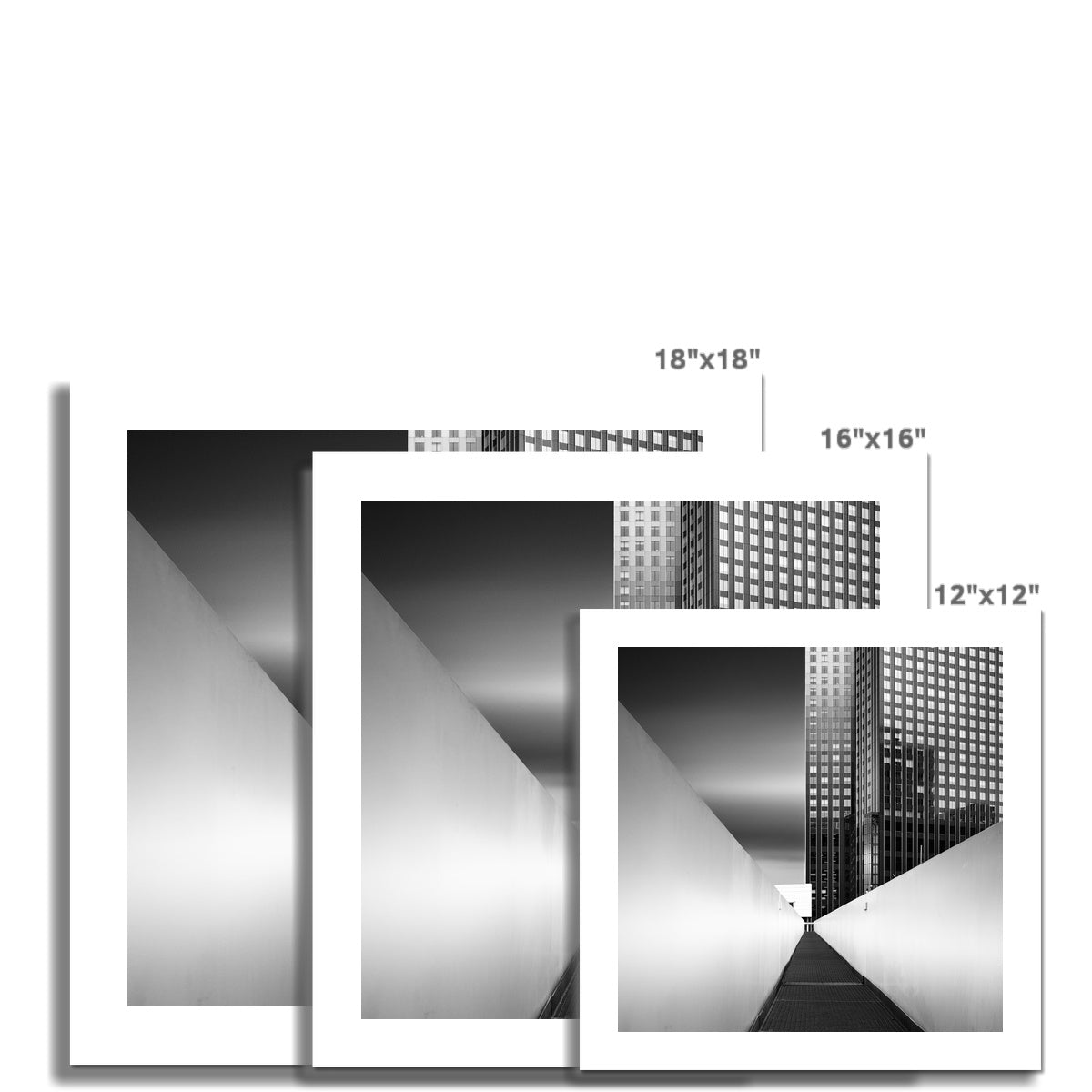 Shape Of Light VIII C-Type Print